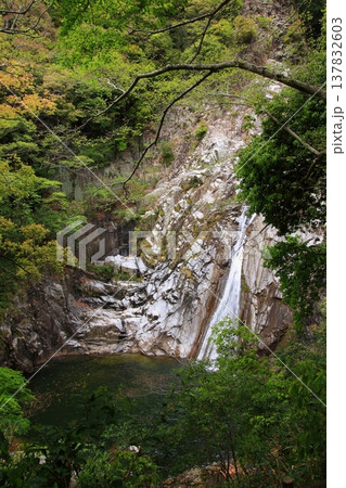 神戸　布引の滝と布引ハーブ園 137832603