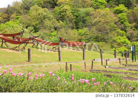 神戸　布引の滝と布引ハーブ園 137832614