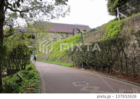 神戸　布引の滝と布引ハーブ園 137832626