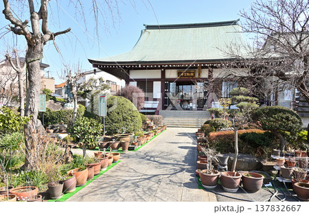 岩槻散歩:真言宗智山派 彌勒密寺 岩槻大師 岩槻散歩:真言宗智山派 彌勒密寺 岩槻大師 137832667