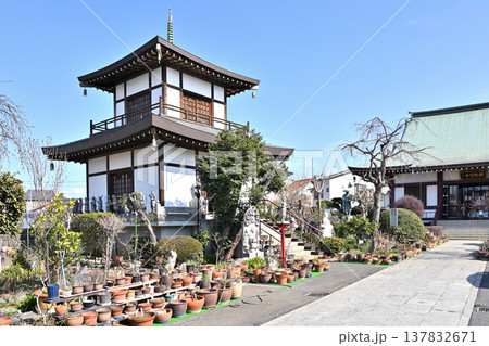 岩槻散歩:真言宗智山派 彌勒密寺 岩槻大師 岩槻散歩:真言宗智山派 彌勒密寺 岩槻大師 137832671