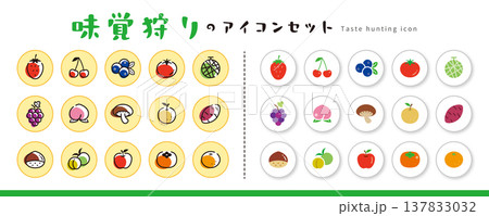 味覚狩りのアイコン・ピクト素材セット/カラー(果物・フルーツ・野菜・イラスト) 味覚狩りのアイコン・ピクト素材セット/カラー(果物・フルーツ・野菜・イラスト) 137833032