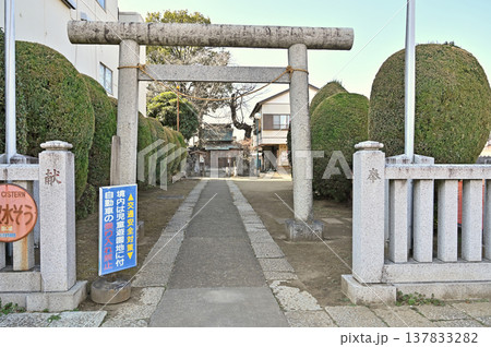 岩槻散歩:岩槻八雲神社 岩槻散歩:岩槻八雲神社 137833282