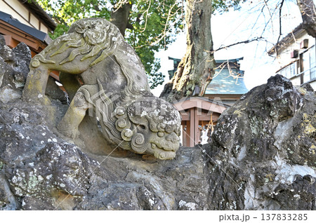 岩槻散歩：岩槻八雲神社 137833285
