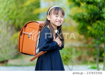 ランドセルを背負った女の子 ランドセルを背負った女の子 137833392