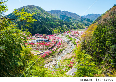 阿智村・花桃の里 137833405