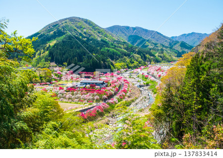 阿智村・花桃の里 阿智村・花桃の里 137833414