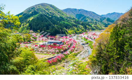 阿智村・花桃の里 137833416