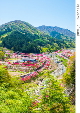 阿智村・花桃の里 137833418