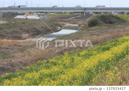 堤防舗装工事 小山川左岸(2022.3.17) 新明橋の東側 春が近づいた3月下旬 埼玉県深谷市 堤防舗装工事 小山川左岸(2022.3.17) 新明橋の東側 春が近づいた3月下旬 埼玉県深谷市 137833427
