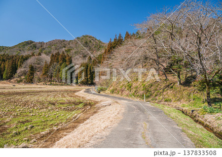 奥琵琶湖西浅井町の田園風景 滋賀県長浜市 奥琵琶湖西浅井町の田園風景 滋賀県長浜市 137833508