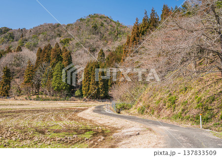 奥琵琶湖西浅井町の田園風景　滋賀県長浜市 137833509