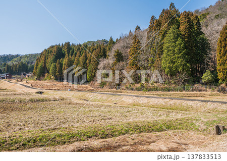 奥琵琶湖西浅井町の田園風景　滋賀県長浜市 137833513