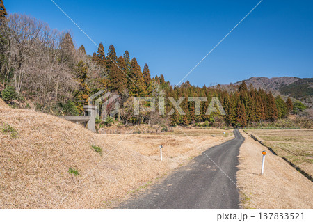 奥琵琶湖西浅井町の田園風景　滋賀県長浜市 137833521