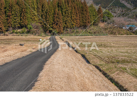 奥琵琶湖西浅井町の田園風景　滋賀県長浜市 137833522