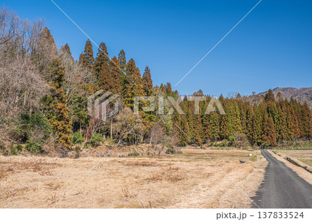 奥琵琶湖西浅井町の田園風景　滋賀県長浜市 137833524