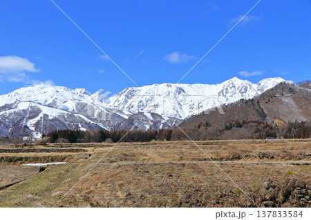 白馬山麓 雪どけの春 白馬山麓 雪どけの春 137833584