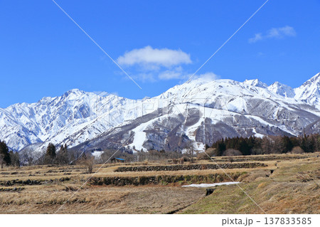 白馬山麓　雪どけの春 137833585