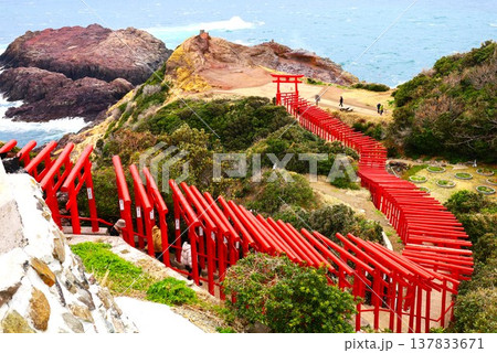 元乃隅神社の朱の鳥居が並ぶ絶景 137833671