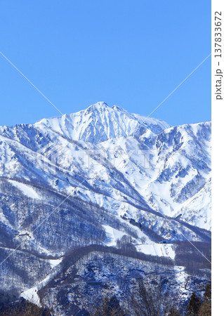白馬村　早春の北アルプス 137833672