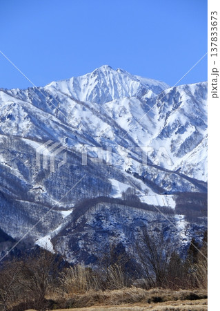 白馬村　早春の北アルプス 137833673