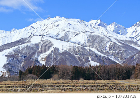 白馬村 早春の八方尾根スキー場 白馬村 早春の八方尾根スキー場 137833719