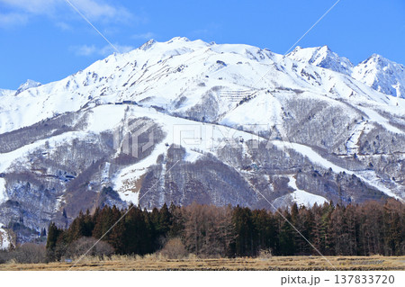 白馬村 早春の八方尾根スキー場 白馬村 早春の八方尾根スキー場 137833720