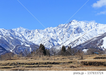 白馬山麓 雪どけの春 白馬山麓 雪どけの春 137833724