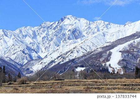 白馬山麓　雪どけの春 137833744