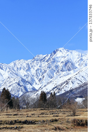 白馬山麓　雪どけの春 137833746