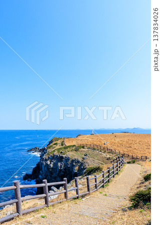 初春の加部島 杉ノ原展望台から見た牧場と肥前立石埼灯台 佐賀県唐津市 初春の加部島 杉ノ原展望台から見た牧場と肥前立石埼灯台 佐賀県唐津市 137834026
