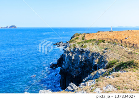 初春の加部島　杉ノ原展望台から見た牧場と肥前立石埼灯台　佐賀県唐津市 137834027