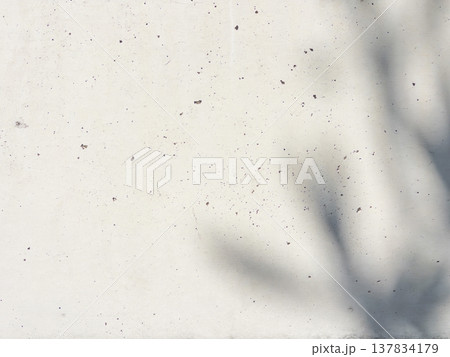 コンクリート壁に映る植物の影 137834179