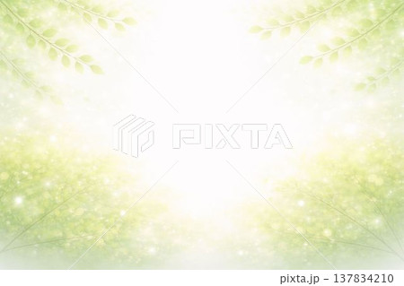 新緑の葉の壁紙 新緑の葉の壁紙 137834210