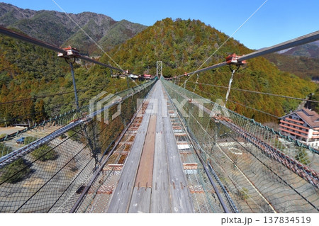 谷瀬の吊り橋 橋上部（奈良県十津川村） 137834519