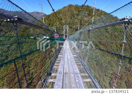 谷瀬の吊り橋 橋上部(奈良県十津川村) 谷瀬の吊り橋 橋上部(奈良県十津川村) 137834521