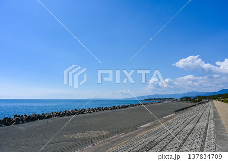 静岡県富士市田子の浦の公園 静岡県富士市田子の浦の公園 137834709