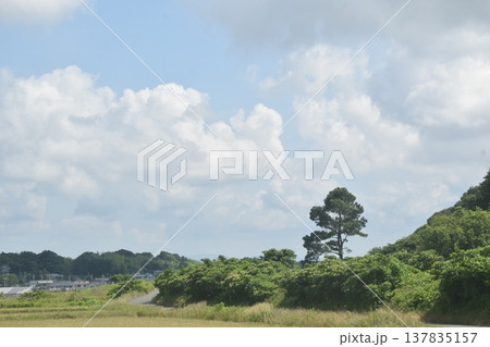 夏雲が広がる里山の初夏 夏雲が広がる里山の初夏 137835157