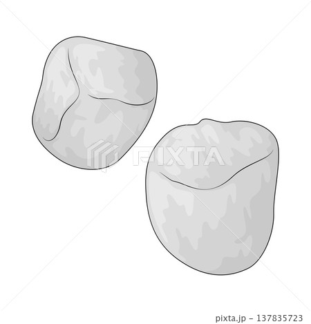 Illustration of Cotton 137835723