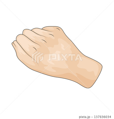 Illustration of Hand 137836034