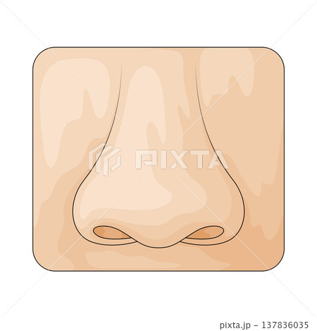 Illustration of Nose 137836035