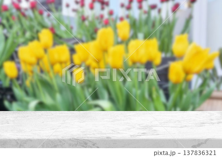 White Marble Table with Blurred Yellow Tulips Garden Background. White Marble Table with Blurred Yellow Tulips Garden Background. 137836321