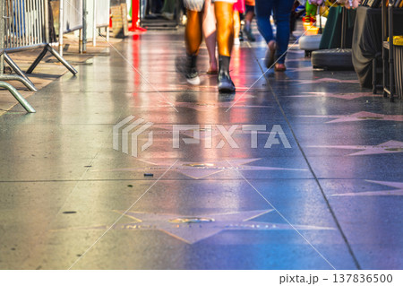 ハリウッド ウォーク・オブ・フェーム ハリウッド ウォーク・オブ・フェーム 137836500