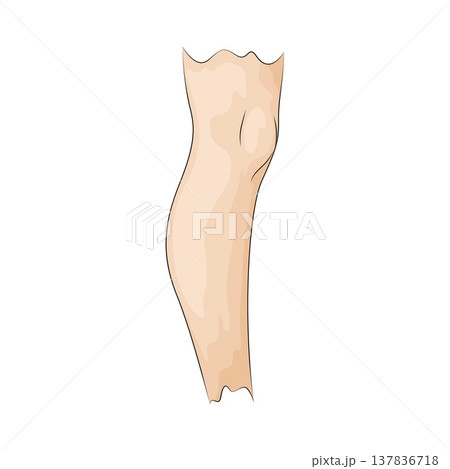 Illustration of Leg 137836718