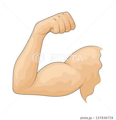 Illustration of Arm Illustration of Arm 137836719