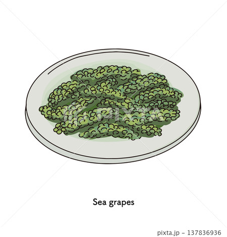 海ぶどうのシンプルな一皿プチプチ食感の海藻料理｜海ぶどう 海藻 食べ物 沖縄 137836936