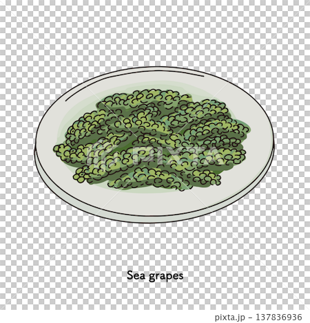 海ぶどうのシンプルな一皿プチプチ食感の海藻料理｜海ぶどう 海藻 食べ物 沖縄 137836936