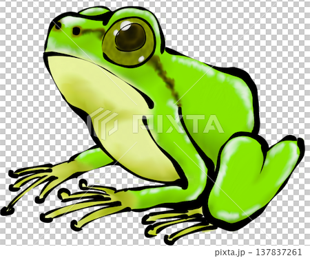 青蛙材料 137837261