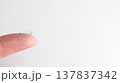 人差し指にのせたハードコンタクトレンズ 137837342