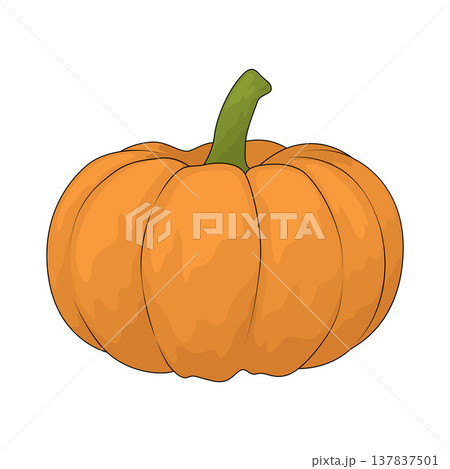 Illustration of Pumpkin 137837501